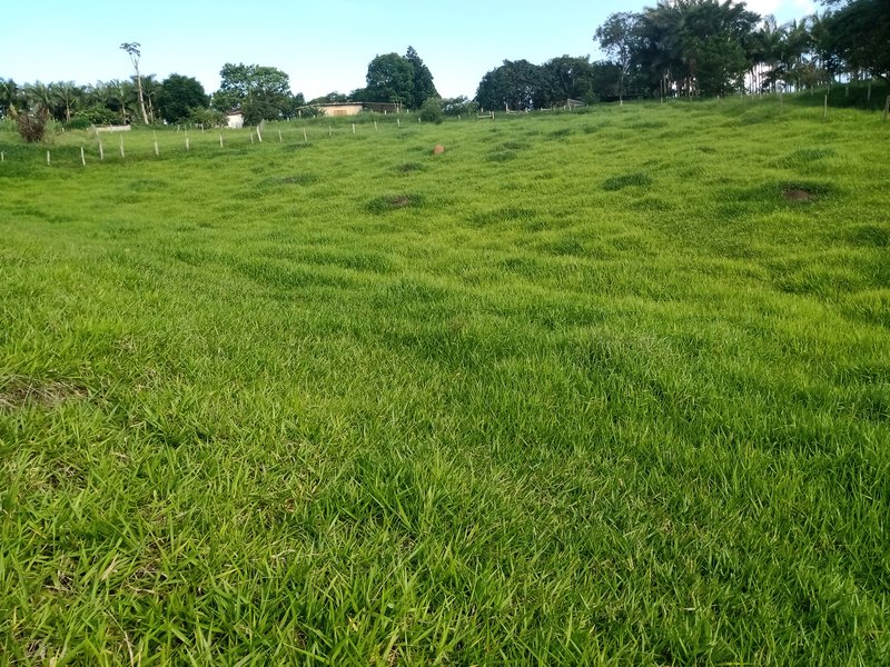 Sitio 48.000 metros em São josé dos campos - São José dos Campos - 