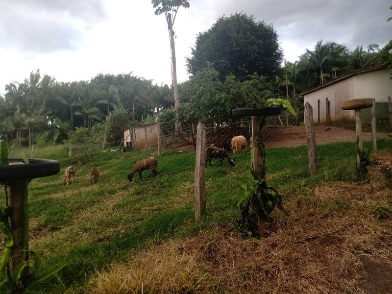 Sitio 48.000 metros em São josé dos campos - São José dos Campos - 