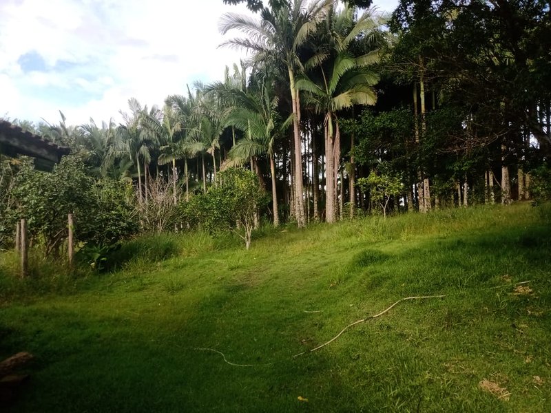 Sitio 48.000 metros em São josé dos campos - São José dos Campos - 