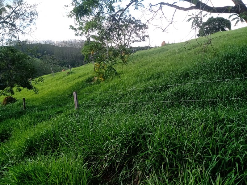 Sitio 48.000 metros em São josé dos campos - São José dos Campos - 