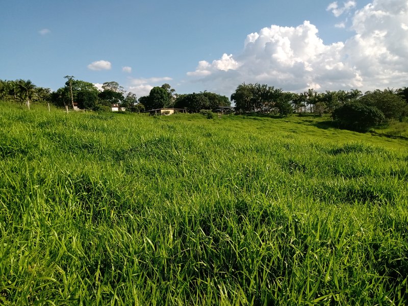 Sitio 48.000 metros em São josé dos campos - São José dos Campos - 