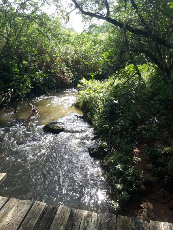 Área rural 37.5 hectares em Delfim Moreira - DELFIM MOREIRA - 