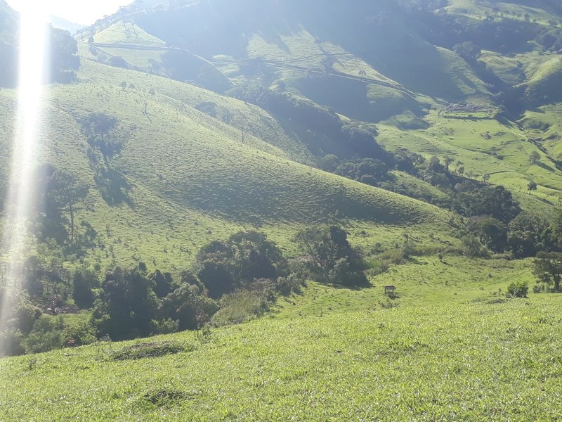 Área rural 37.5 hectares em Delfim Moreira - DELFIM MOREIRA - 