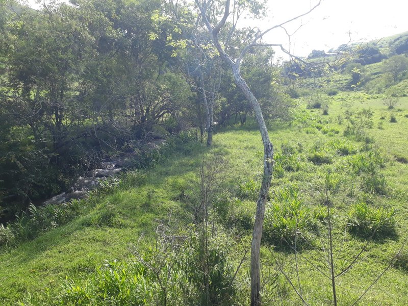 Área rural 37.5 hectares em Delfim Moreira - DELFIM MOREIRA - 