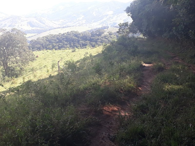 Área rural 37.5 hectares em Delfim Moreira - DELFIM MOREIRA - 