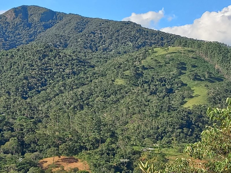 Área rural 70 hectares em Monteiro Lobato - MONTEIRO LOBATO - 