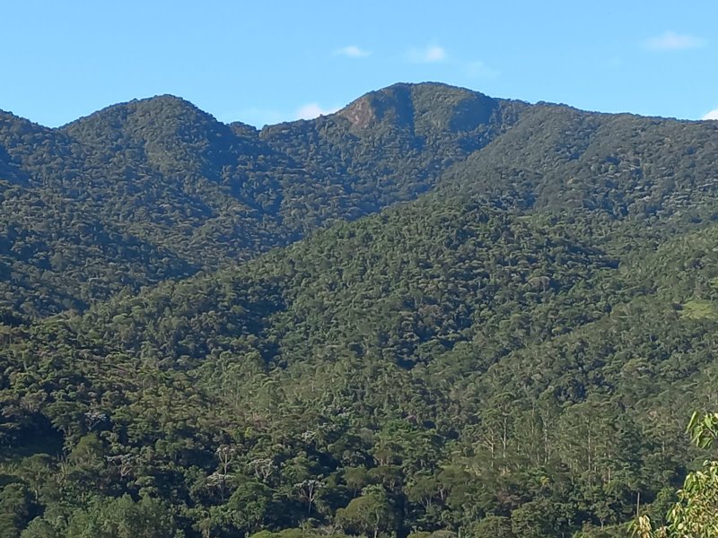 Área rural 70 hectares em Monteiro Lobato - MONTEIRO LOBATO - 