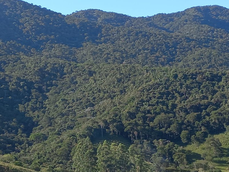 Área rural 70 hectares em Monteiro Lobato - MONTEIRO LOBATO - 