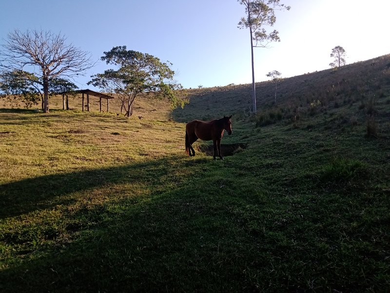SÍTIO 5 HECTARES EM MONTEIRO LOBATO - MONTEIRO LOBATO - 