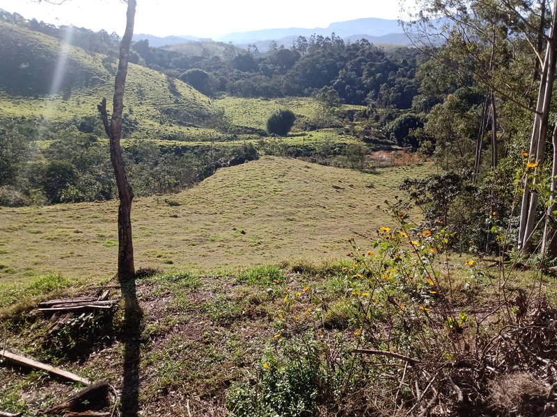 Sítio com 5.4 hectares em Monteiro Lobato - MONTEIRO LOBATO - 