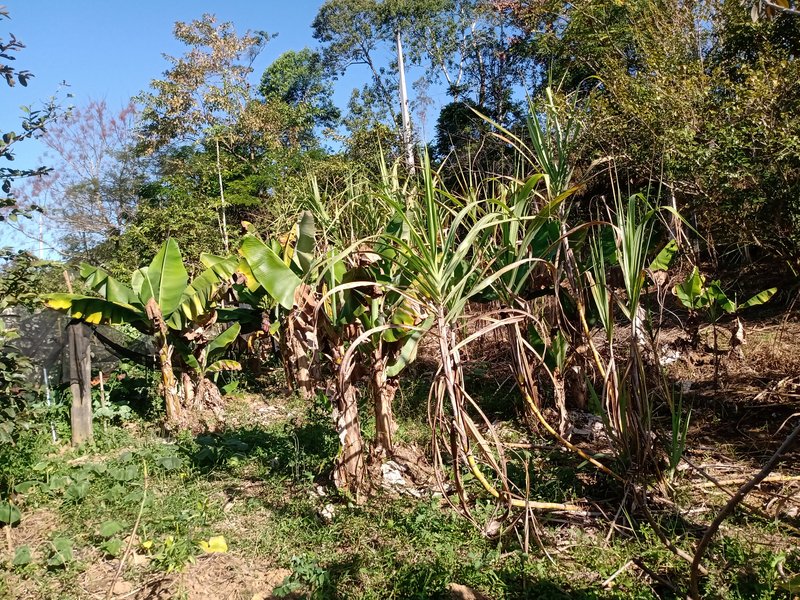 CHÁCARA 20.000 METROS EM SÃO JOSÉ DOS CAMPOS - São José dos Campos - 