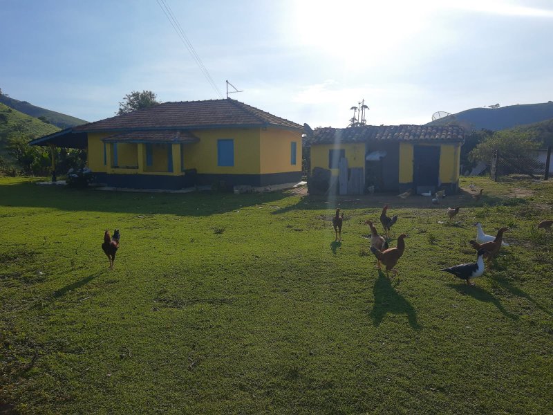 FAZENDA COM 203 HECTARES NO VALE DO PARAÍBA - SAO LUIS DO PARAITINGA - 