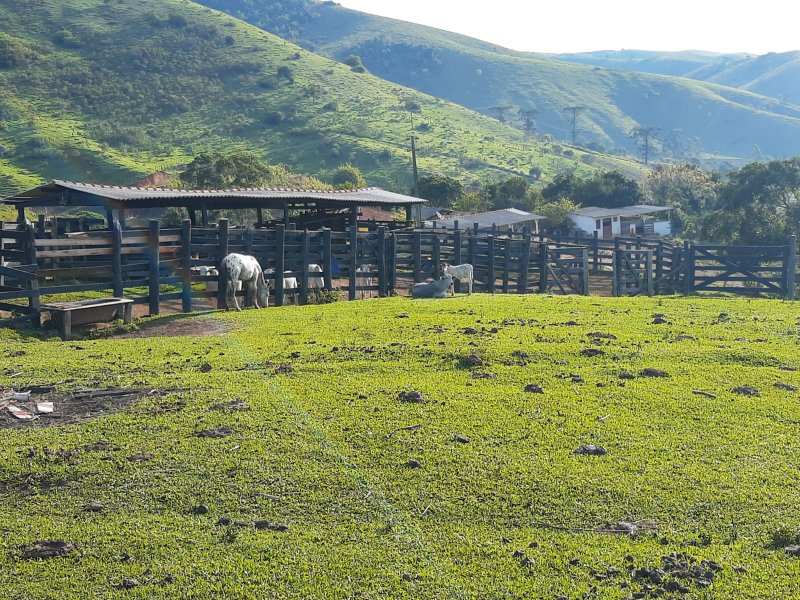 FAZENDA COM 203 HECTARES NO VALE DO PARAÍBA - SAO LUIS DO PARAITINGA - 