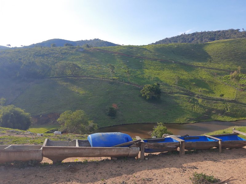FAZENDA COM 203 HECTARES NO VALE DO PARAÍBA - SAO LUIS DO PARAITINGA - 