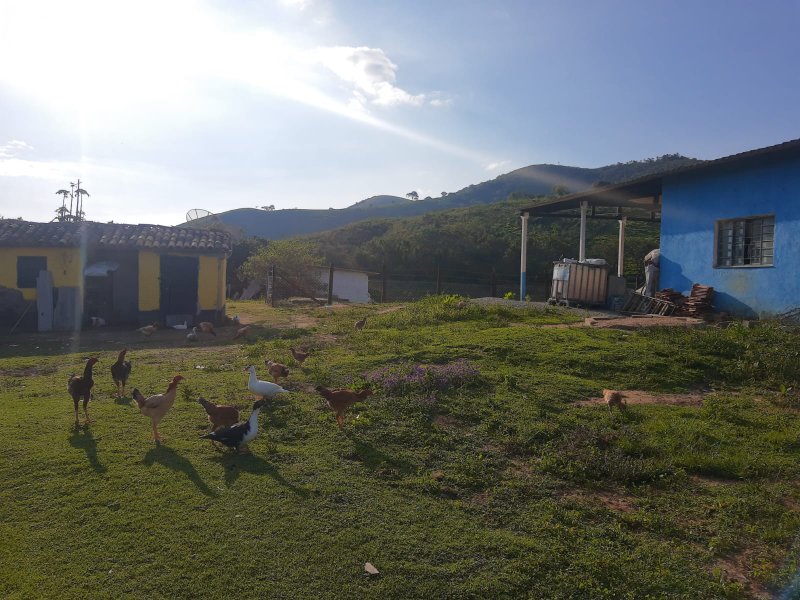 FAZENDA COM 203 HECTARES NO VALE DO PARAÍBA - SAO LUIS DO PARAITINGA - 