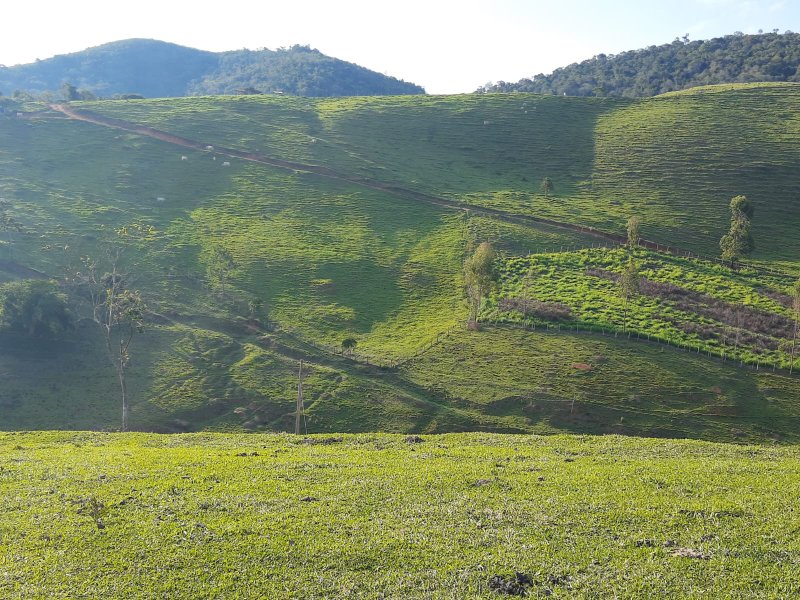 FAZENDA COM 203 HECTARES NO VALE DO PARAÍBA - SAO LUIS DO PARAITINGA - 