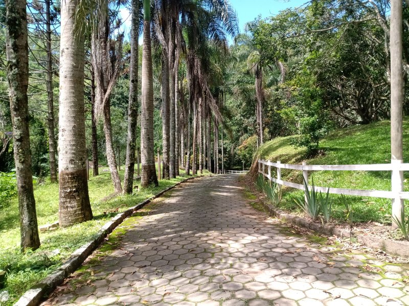 FAZENDA 116 HECTARES NO VALE DO PARAIBA - Pindamonhangaba - 