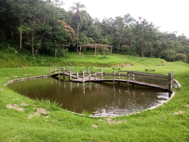 FAZENDA 116 HECTARES NO VALE DO PARAIBA - Pindamonhangaba - 