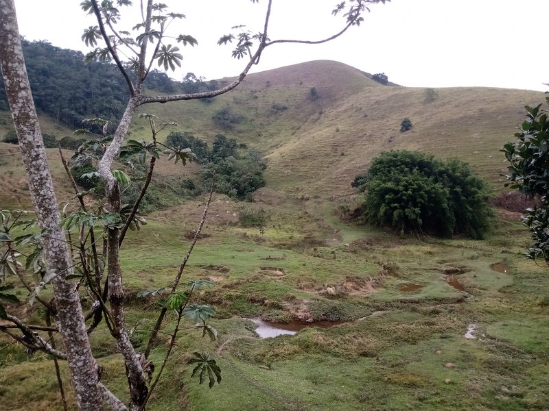 FAZENDA 121 HECTARES NO VALE DO PARAIBA - São José dos Campos - 