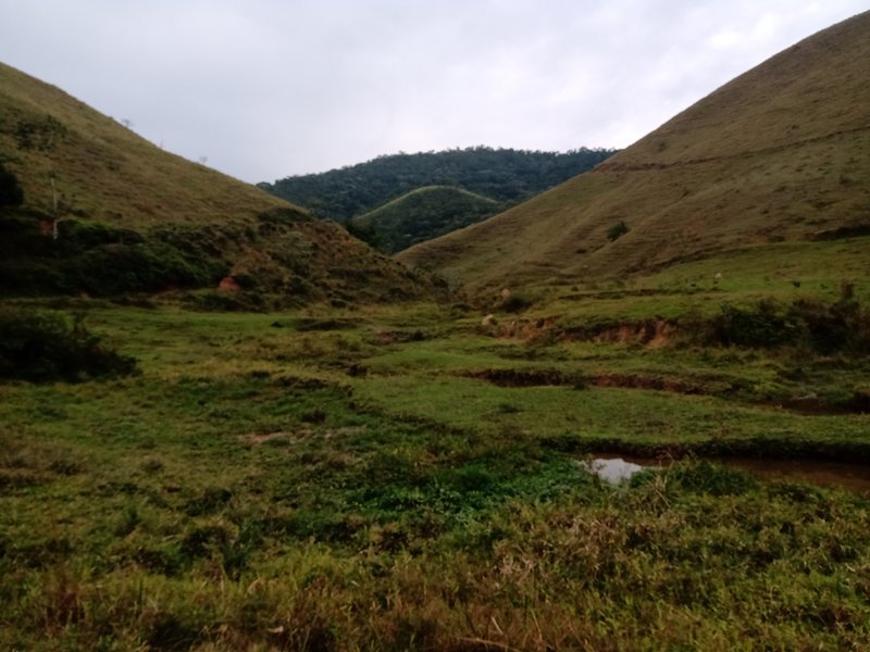 FAZENDA 121 HECTARES NO VALE DO PARAIBA - São José dos Campos - 