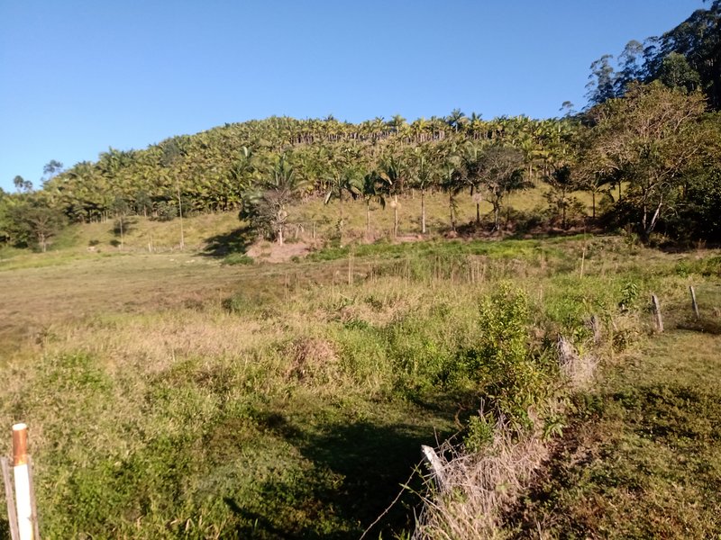 FAZENDA COM 150 HECTARES NO VALE DO PARAIBA - São José dos Campos - 