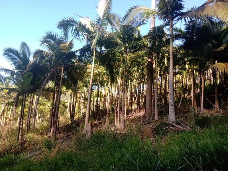 FAZENDA COM 150 HECTARES NO VALE DO PARAIBA - São José dos Campos - 