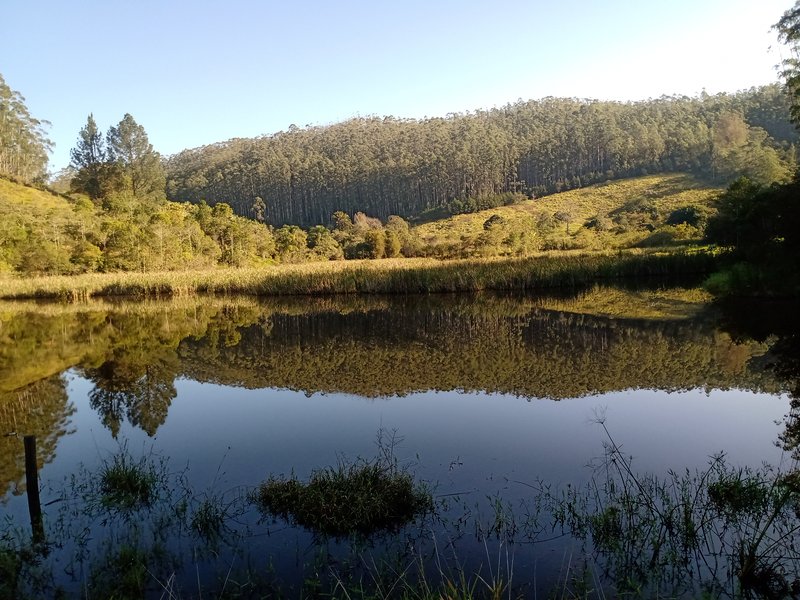 FAZENDA COM 150 HECTARES NO VALE DO PARAIBA - São José dos Campos - 