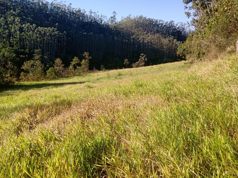 FAZENDA COM 150 HECTARES NO VALE DO PARAIBA - São José dos Campos - 