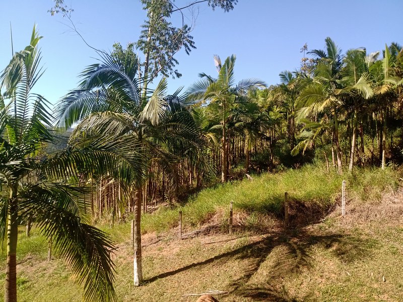 FAZENDA COM 150 HECTARES NO VALE DO PARAIBA - São José dos Campos - 