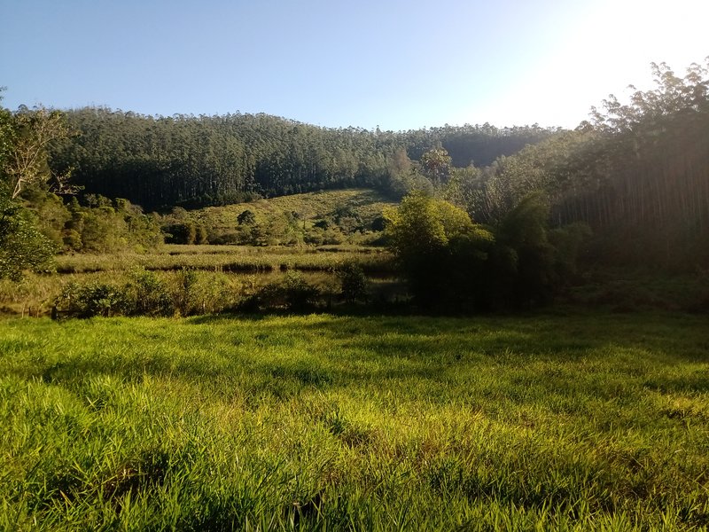 FAZENDA COM 150 HECTARES NO VALE DO PARAIBA - São José dos Campos - 