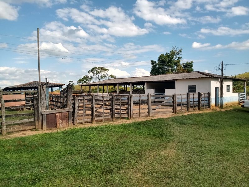 FAZENDA 363 HECTARES NO VALE DO PARAÍBA - CRUZEIRO - 
