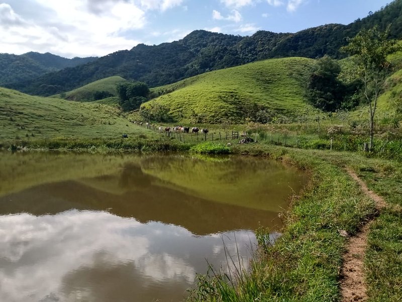 FAZENDA 363 HECTARES NO VALE DO PARAÍBA - CRUZEIRO - 