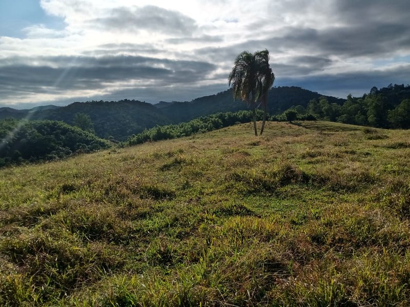 FAZENDA 363 HECTARES NO VALE DO PARAÍBA - CRUZEIRO - 