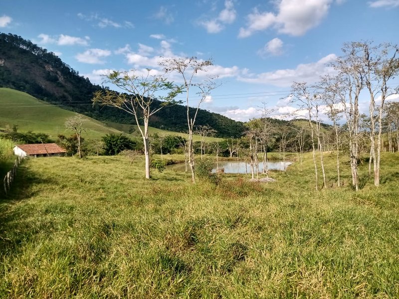 FAZENDA 363 HECTARES NO VALE DO PARAÍBA - CRUZEIRO - 