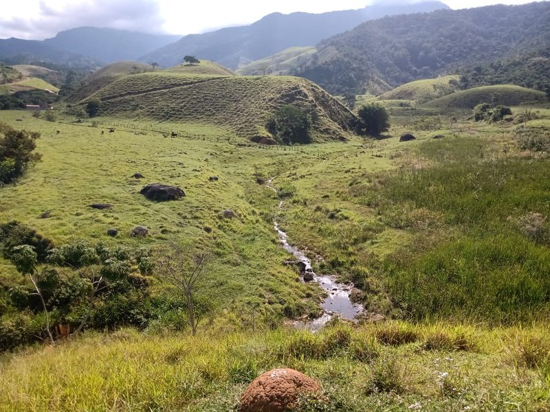 FAZENDA 363 HECTARES NO VALE DO PARAÍBA - CRUZEIRO - 