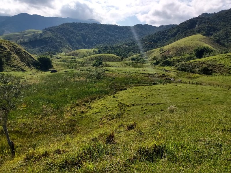 FAZENDA 363 HECTARES NO VALE DO PARAÍBA - CRUZEIRO - 