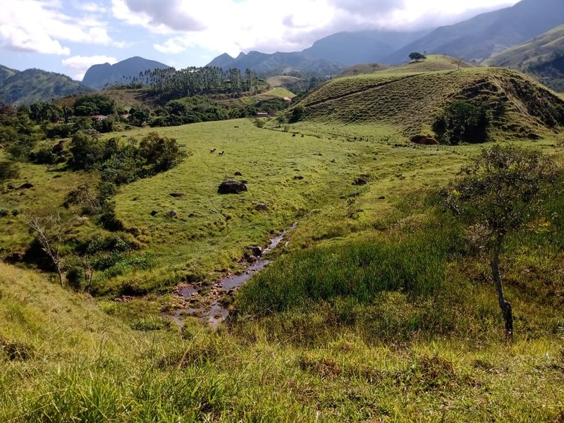 FAZENDA 363 HECTARES NO VALE DO PARAÍBA - CRUZEIRO - 