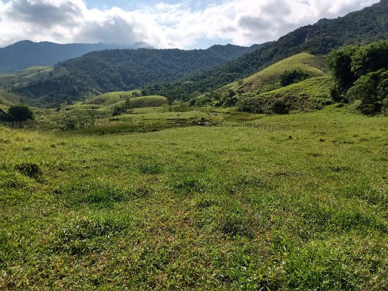 FAZENDA 363 HECTARES NO VALE DO PARAÍBA - CRUZEIRO - 