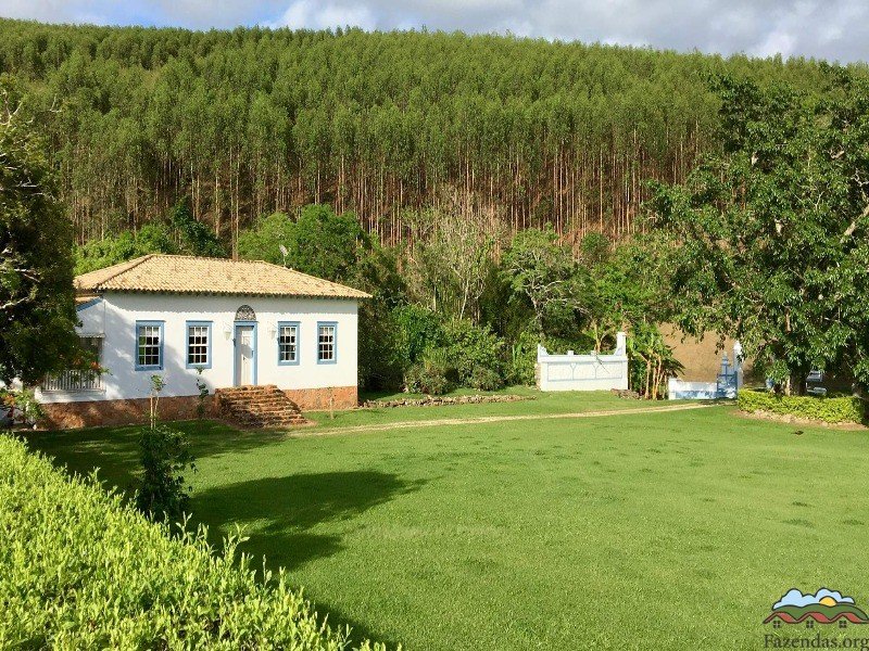 FAZENDA 600 HECTARES NO VALE DO PARAÍBA - Pindamonhangaba - 