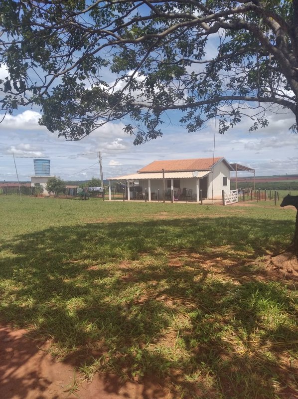 FAZENDA DE 193,6 HECTARES EM MG - ADAMANTINA - 