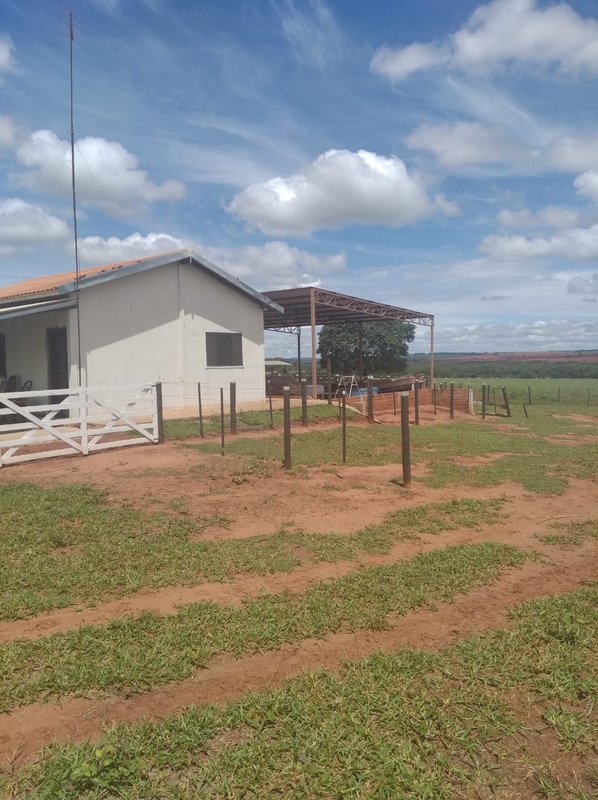 FAZENDA DE 193,6 HECTARES EM MG - ADAMANTINA - 
