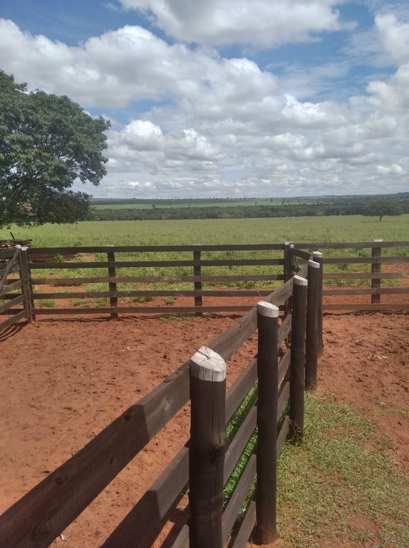 FAZENDA DE 193,6 HECTARES EM MG - ADAMANTINA - 