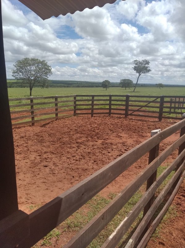 FAZENDA DE 193,6 HECTARES EM MG - ADAMANTINA - 