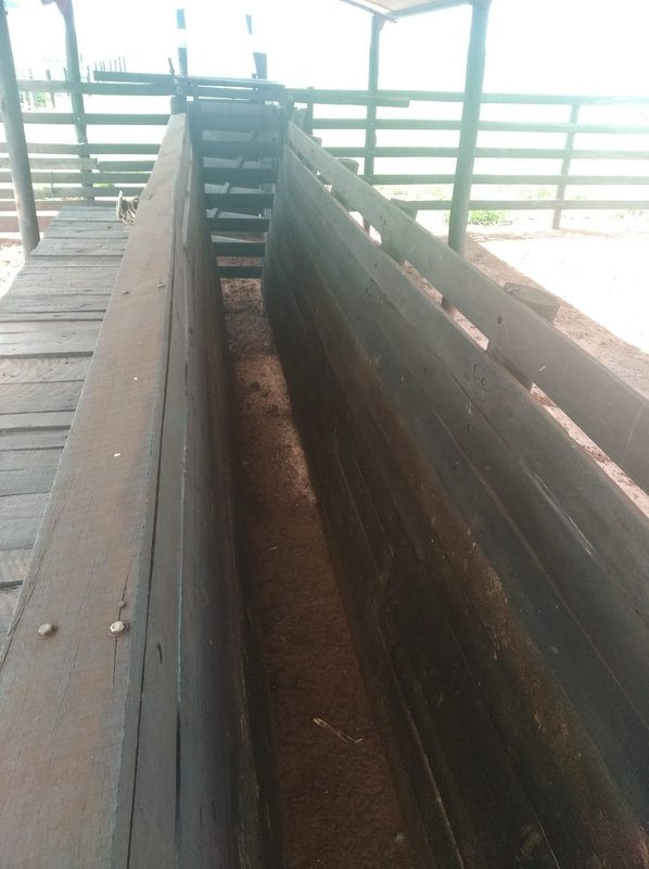 FAZENDA DE 193,6 HECTARES EM MG - ADAMANTINA - 