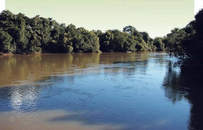 FAZENDA DE 193,6 HECTARES EM MG - ADAMANTINA - 