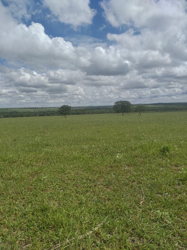 FAZENDA DE 193,6 HECTARES EM MG - ADAMANTINA - 
