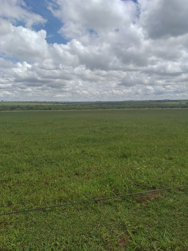 FAZENDA DE 193,6 HECTARES EM MG - ADAMANTINA - 