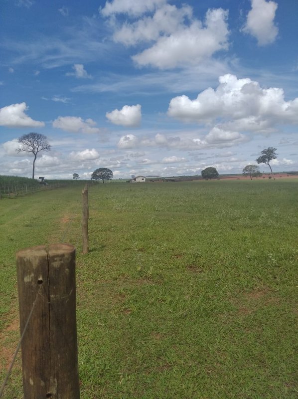 FAZENDA DE 193,6 HECTARES EM MG - ADAMANTINA - 