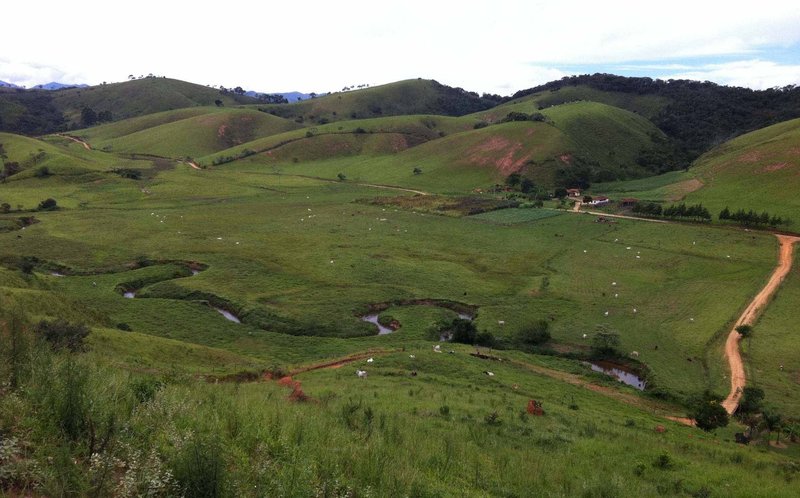 FAZENDA 254 HECTARES NO VALE DO PARAIBA - SILVEIRAS - 