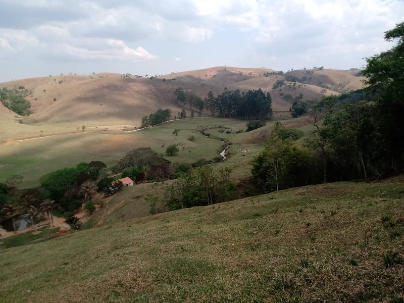 FAZENDA 254 HECTARES NO VALE DO PARAIBA - SILVEIRAS - 